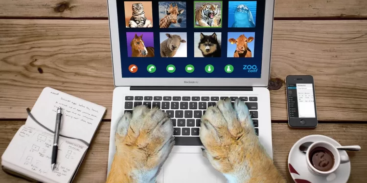 furry paws typing on a keyboard